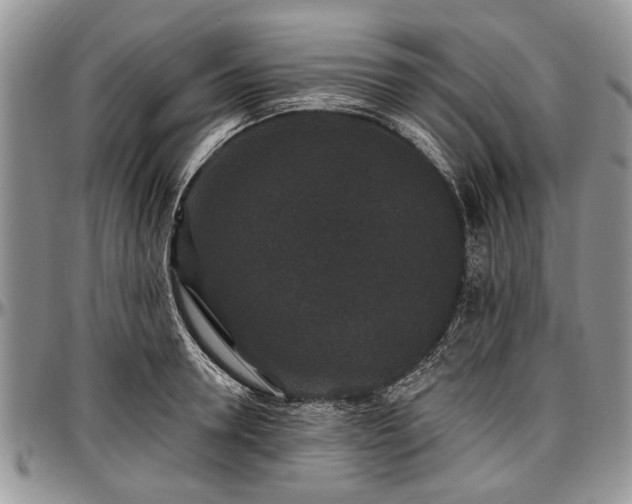 X0000097490946200802291428