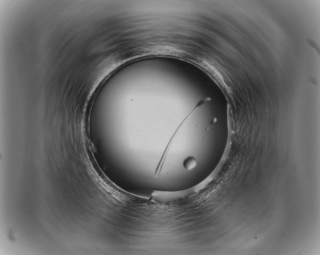 X0000097490947200802291428