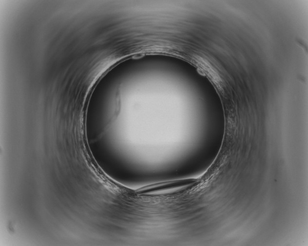 X0000097490948200802291429