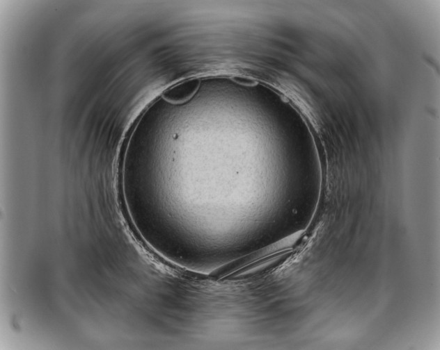 X0000097490949200802291429