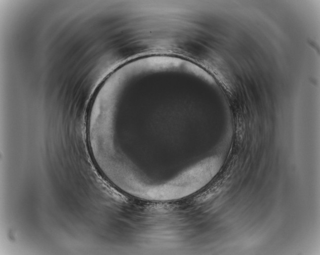 X0000097490950200802291429