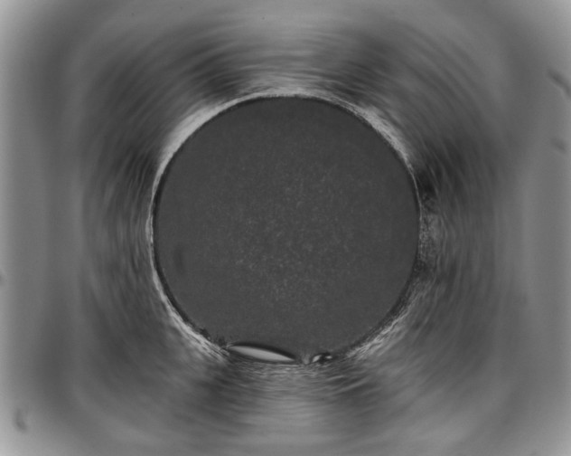 X0000097490951200802291429