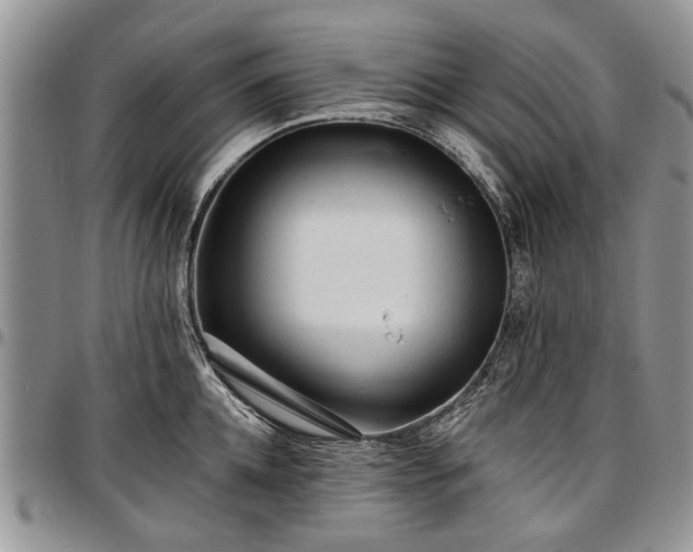 X0000097490952200802291429