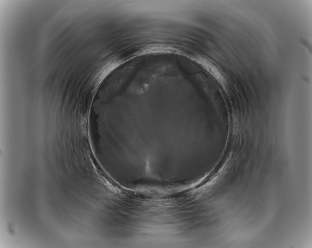 X0000097490953200802291429