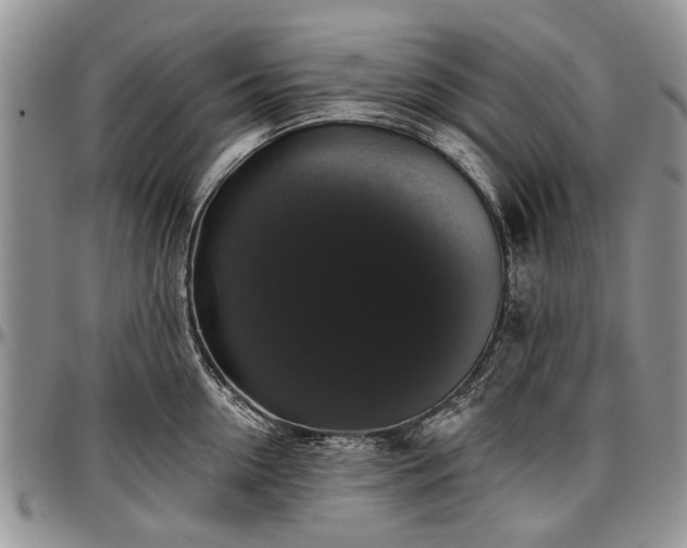 X0000097490954200802291429