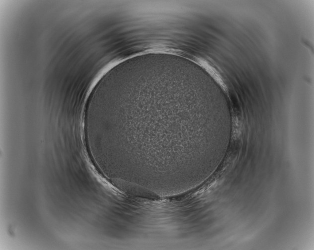 X0000097490955200802291429