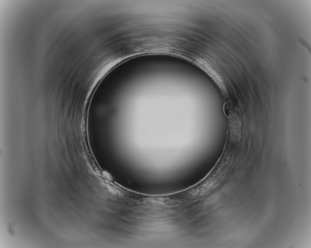 X0000097490956200802291429