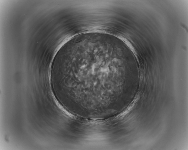 X0000097490957200802291429