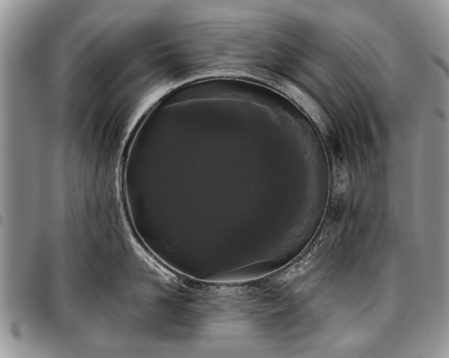 X0000097490958200802291429