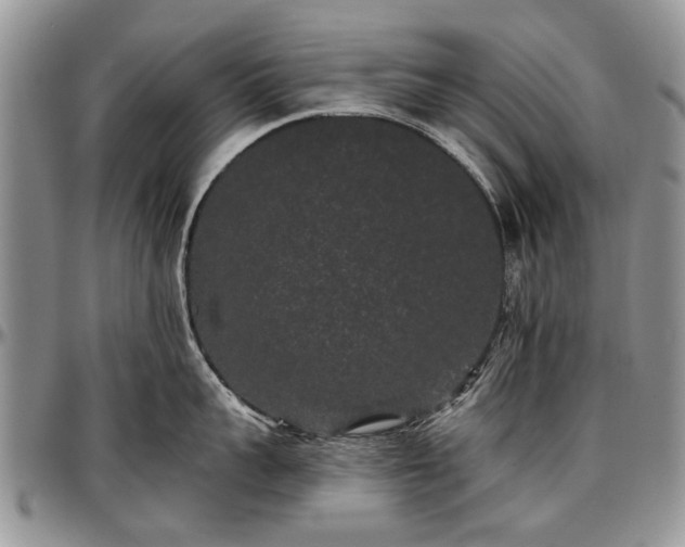 X0000097490959200802291429