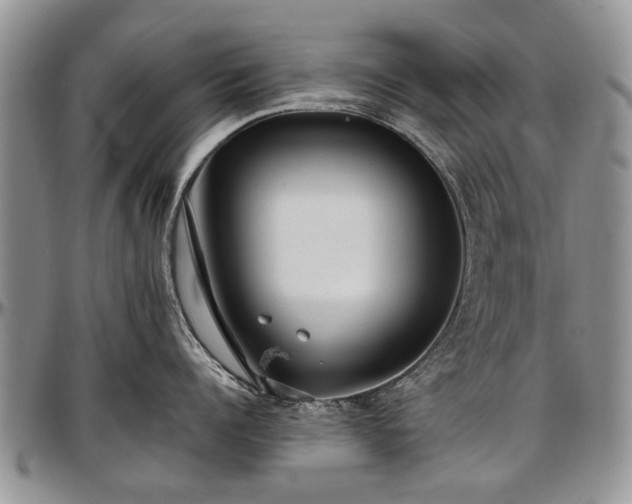 X0000097490960200802291429