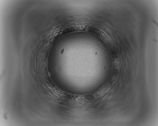 X0000097490961200802291428