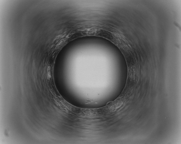 X0000097490962200802291428