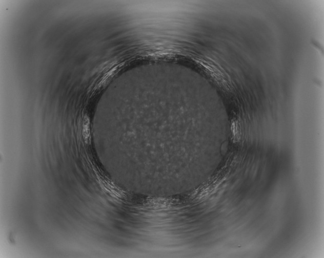 X0000097490963200802291428