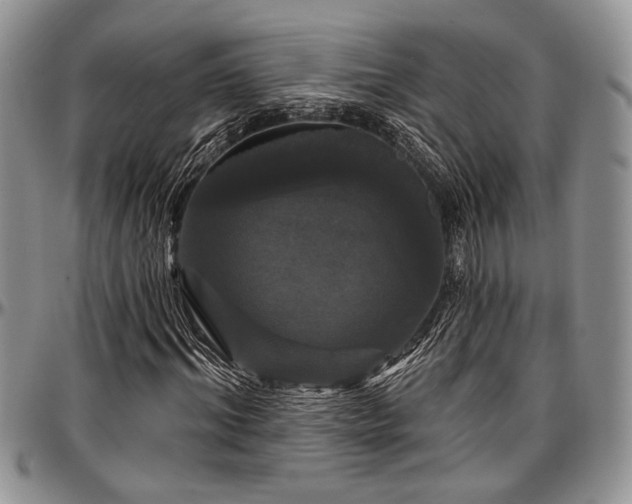 X0000097490964200802291428