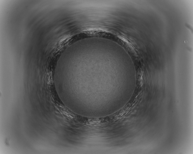 X0000097490965200802291428