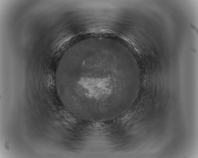 X0000097490966200802291428