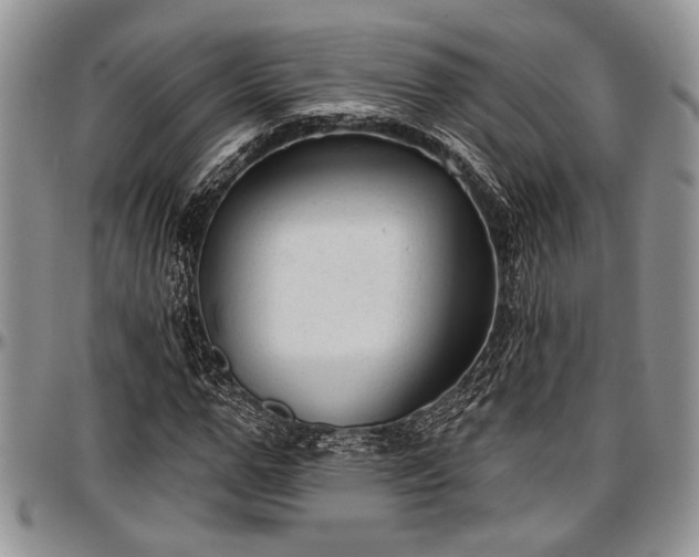 X0000097490967200802291428