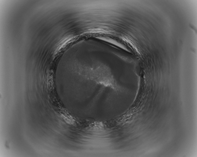 X0000097490968200802291428