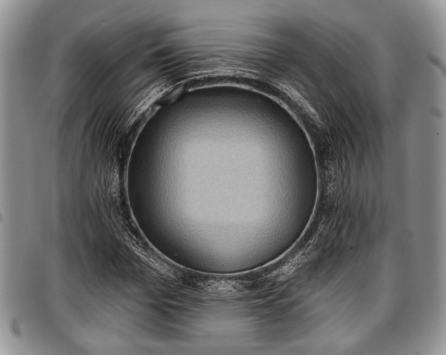 X0000097490969200802291428