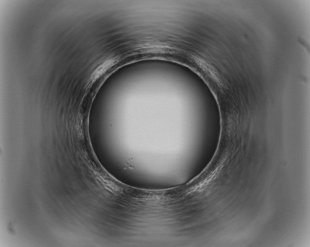 X0000097490970200802291428