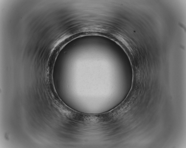 X0000097490971200802291428