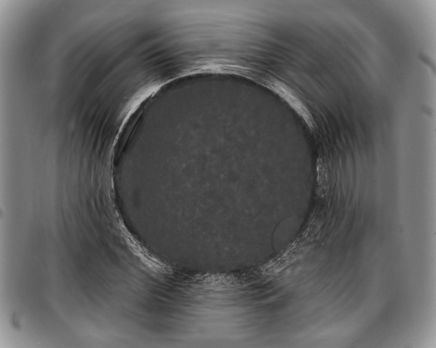 X0000097490972200802291428