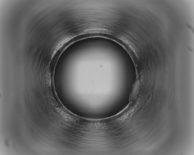 X0000097490973200802291428