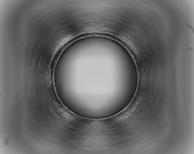 X0000097490974200802291428