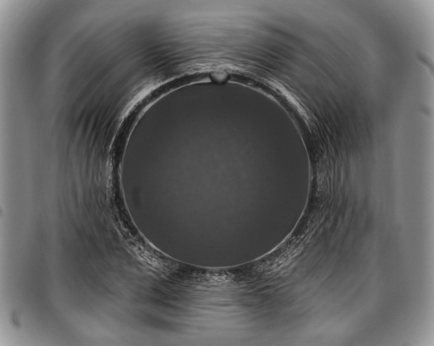 X0000097490975200802291428