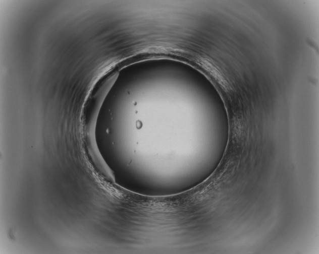 X0000097490976200802291428