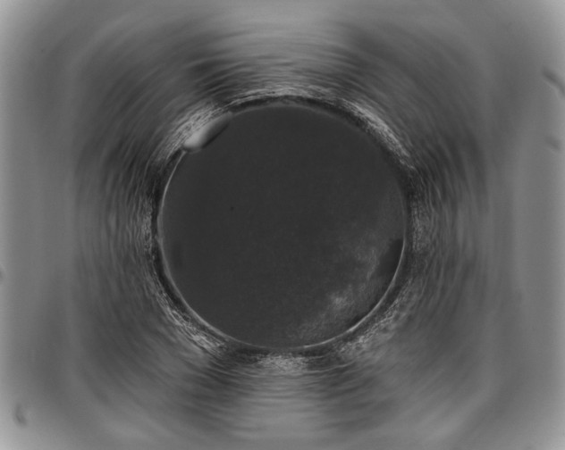 X0000097490977200802291428