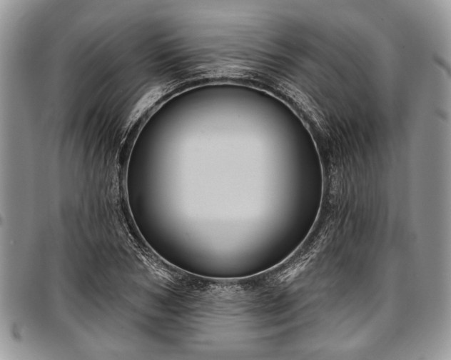 X0000097490978200802291428