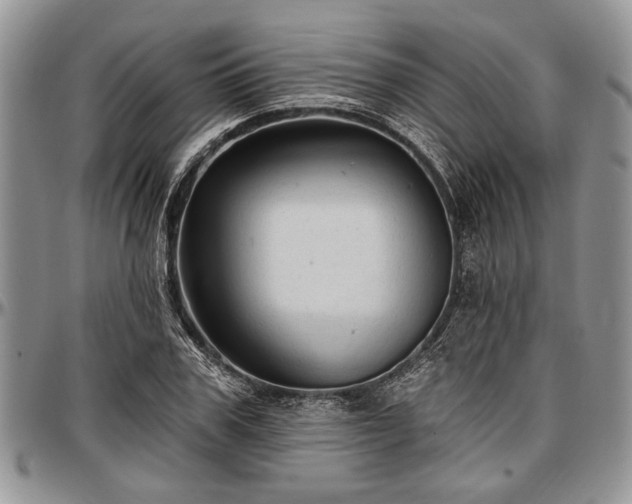 X0000097490979200802291428