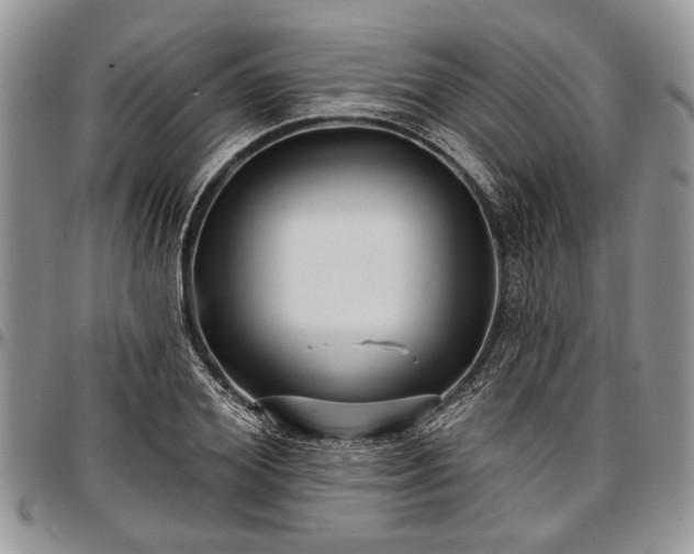 X0000097490980200802291428