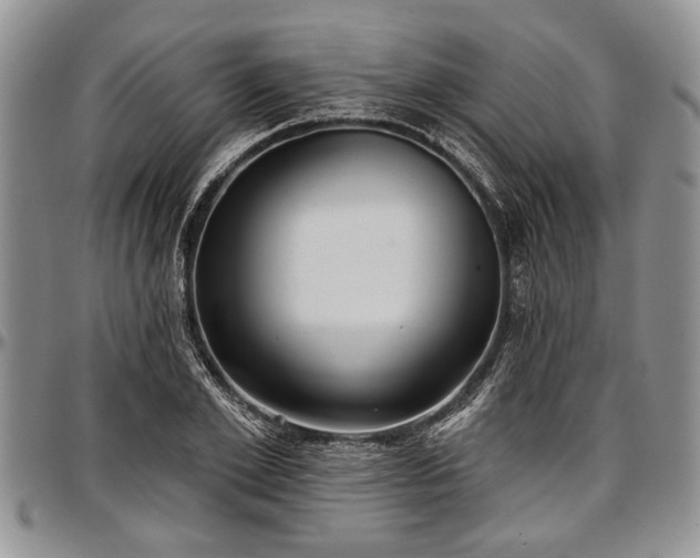 X0000097490981200802291428