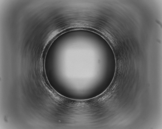 X0000097490982200802291428