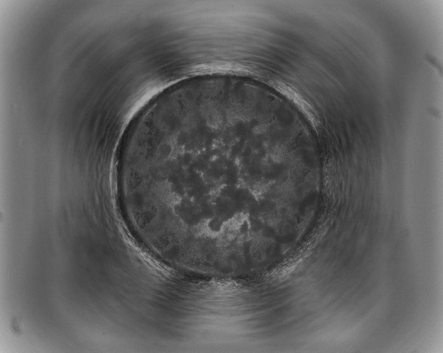 X0000097490983200802291428