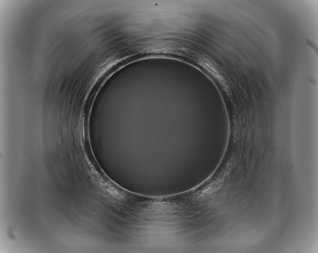 X0000097490984200802291427