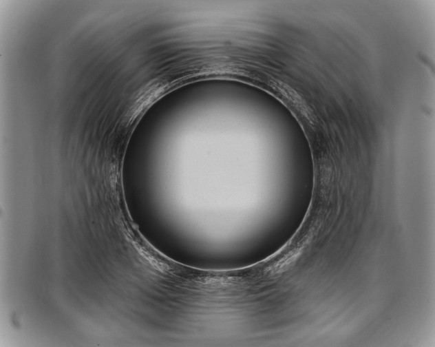 X0000097490985200802291427