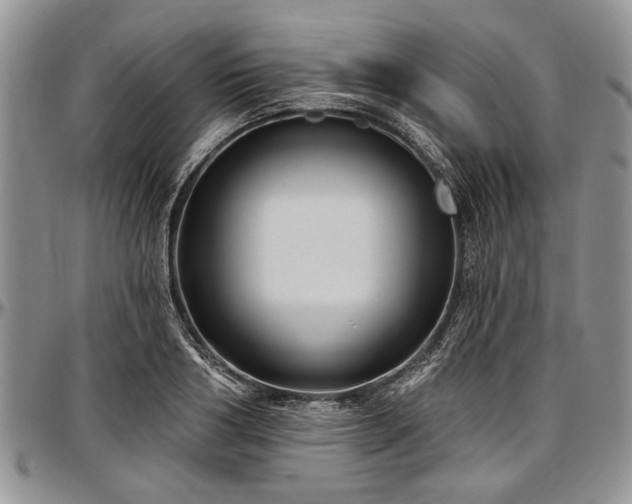 X0000097490986200802291427