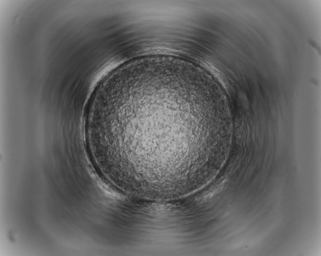 X0000097490987200802291427