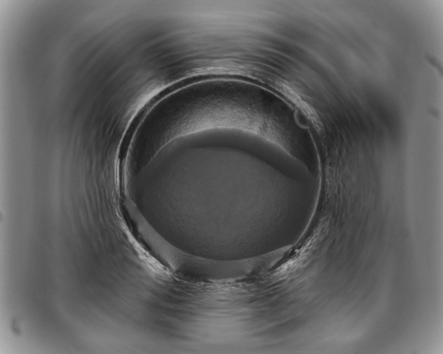 X0000097490988200802291427