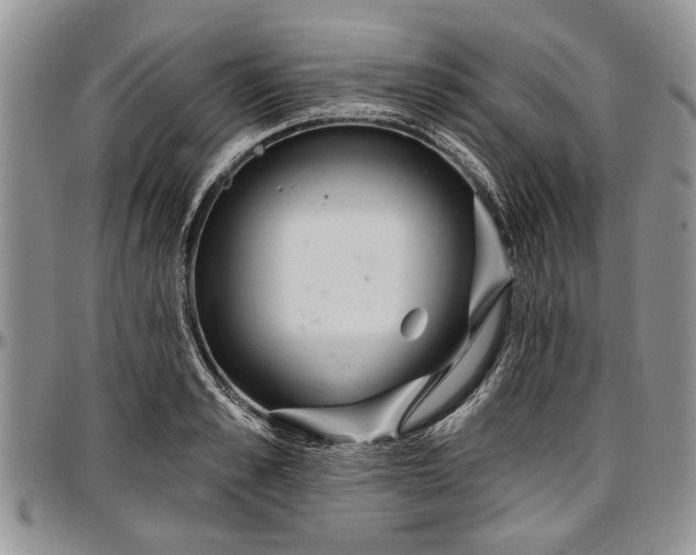 X0000097490989200802291427