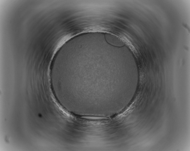 X0000097490990200802291427