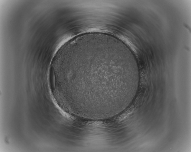 X0000097490991200802291427