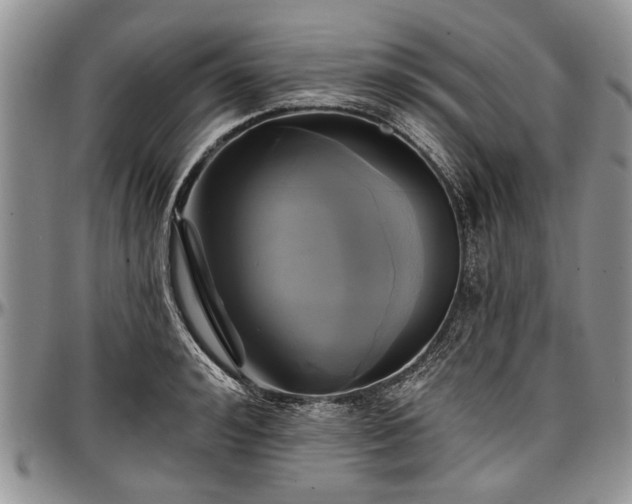 X0000097490992200802291427