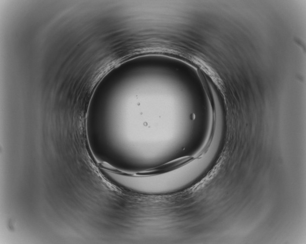 X0000097490993200802291427