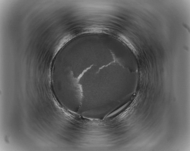 X0000097490994200802291427