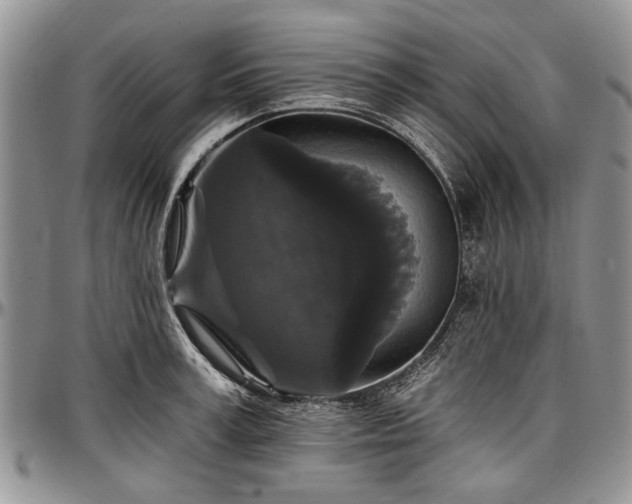 X0000097490995200802291427